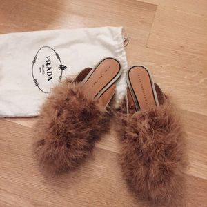 Fur Slides